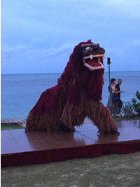 Lion Dance